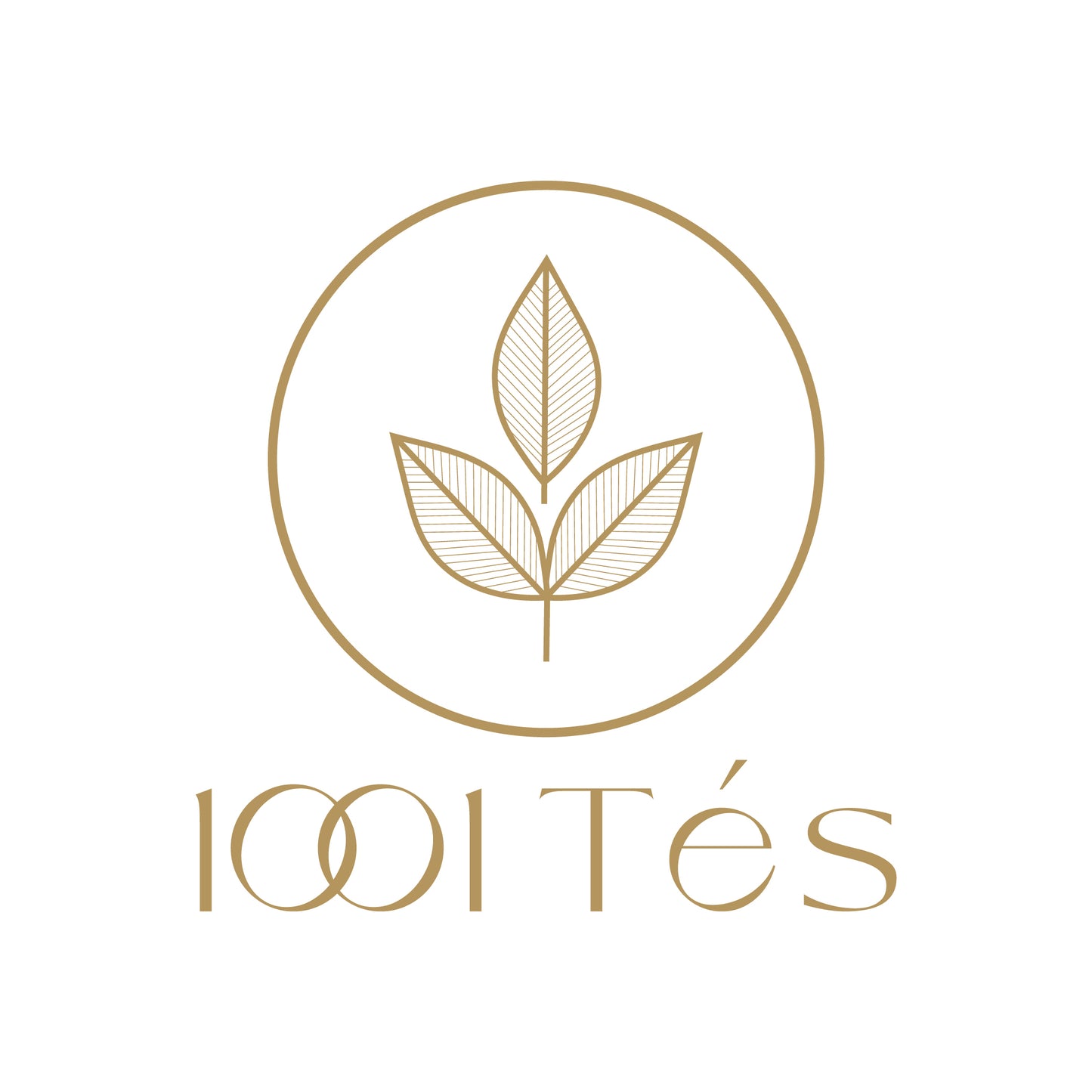 Nº 1001 - Selección de la experta