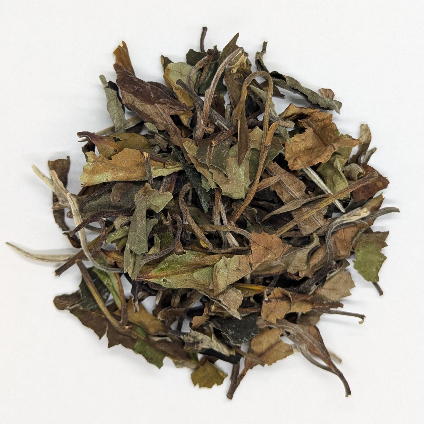 Nº 101 - Té Blanco Pai Mu Tan (Fujian, China)