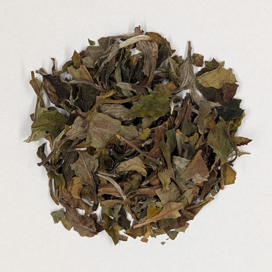 Nº 102 - Té Blanco Pai Mu Tan - Edición Premium (Fujian, China)