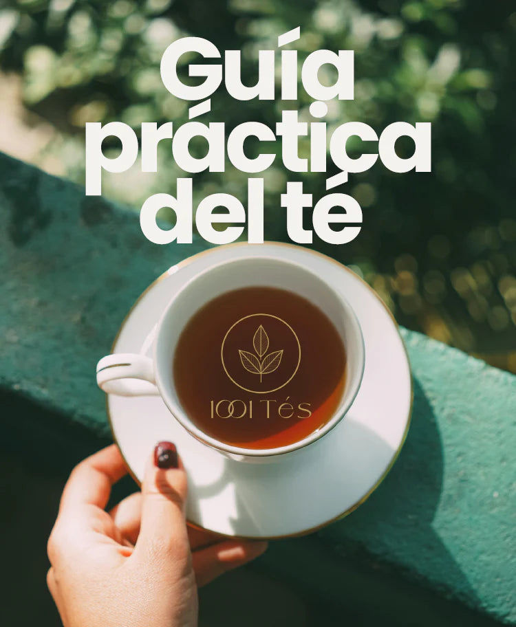 Interior de la guía gratuita